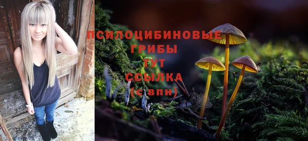 гидропоника Карталы