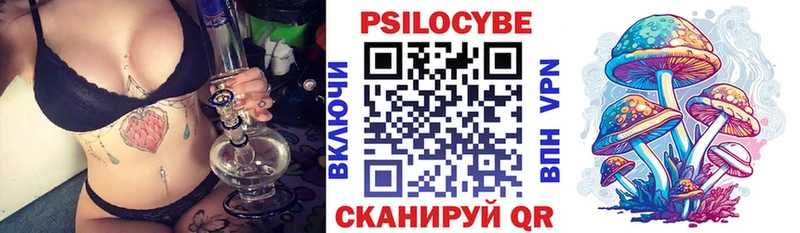 Галлюциногенные грибы Psilocybine cubensis  Магас 